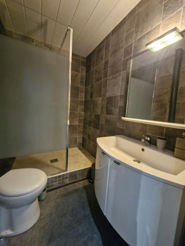 Location Appartement 1 pièce 29m² - Photo 3