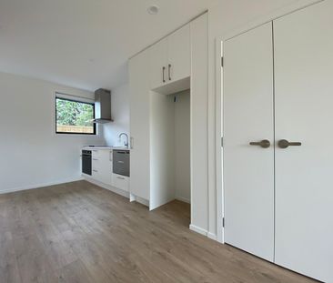 Brand New House in Mt Wellington - Photo 3