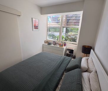 Woollahra - Photo 5