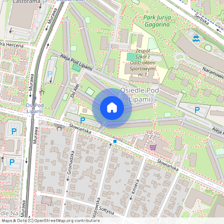 Pod Lipami 7, Winogrady, Stare Miasto, Poznań, wielkopolskie