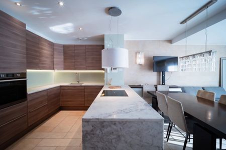 Beausoleil Moyenne corniche, magnifique appartement penthouse 4 pièces meublé - Photo 2