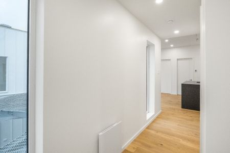 2138 Rue du Centre #103, Montréal (Le Sud-Ouest), H3K1J4 - Photo 2