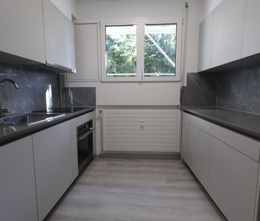 Moderno appartamento di 3.5 locali appena ristrutturato a Coldrerio - Foto 5