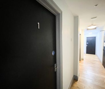 Pink Suite , Lustrous House - Photo 5