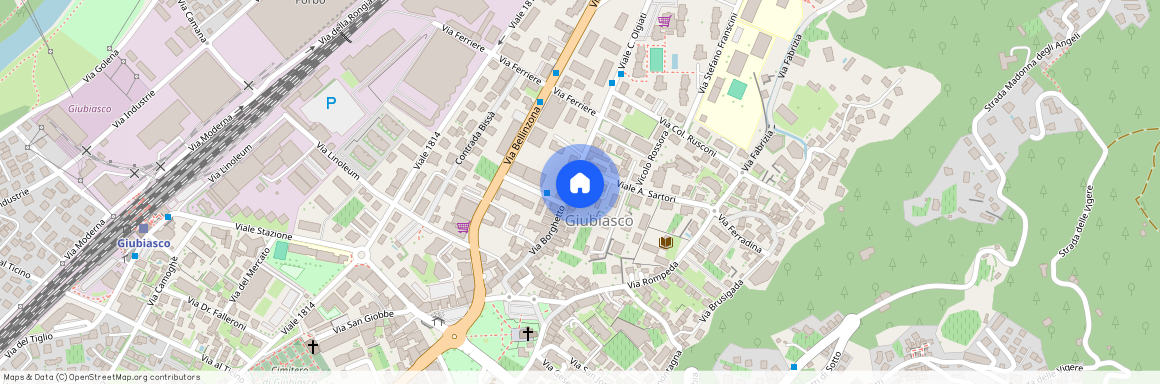 6512, Bellinzona, Viale C. Olgiati, 4a