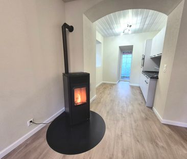 2-ROOM APARTMENT WITH NEWLY RENOVATED CACHE - Photo 2