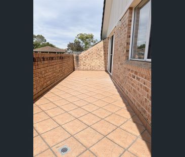 Immaculate Spacious Penthouse, Convenient & Quiet - Photo 3