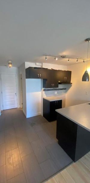 1 CH - 1 SDB - Montréal - $1,295 /mo - Photo 1