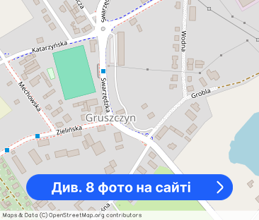 Dom na wynajem Gruszczyn - Фото 1