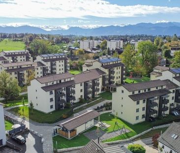 Profitez du soleil du soir - Photo 4