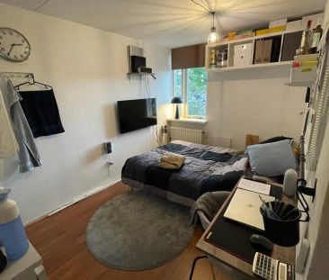Chambre non meublée Karveelstraat, Alkmaar - À louer - Photo 2