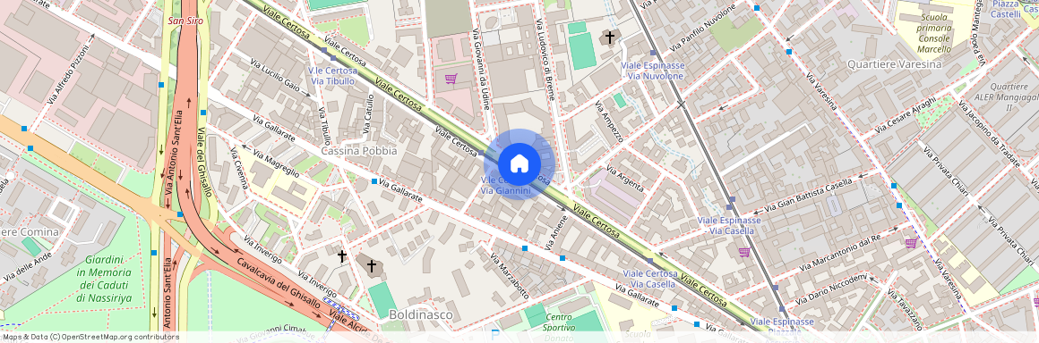 Viale Certosa, Milan, Lombardy 20156