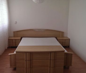 Professor Pelstraat, 2035 CP Haarlem - Foto 6