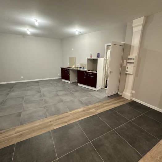 appartement entierrement renové aux dernieres normes - Photo 1