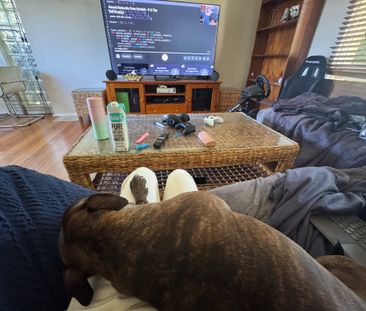 Murrumbeena - Photo 5