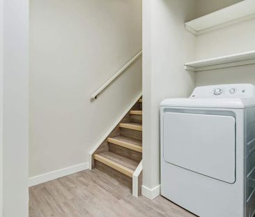 Renovated Suite - 3 Bedroom - Photo 1