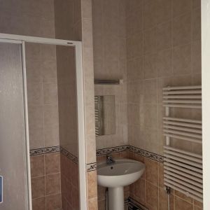 Location Appartement 1 pièce 28m² LONGVIC 21600 - Photo 2