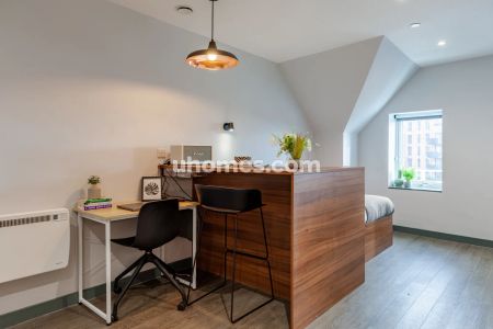 Deluxe Studio - Photo 3