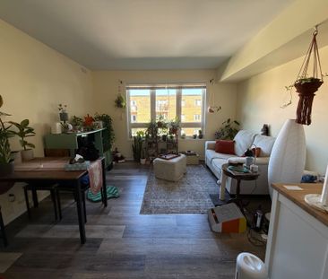 For Lease - 70 First Street Unit# 210, Orangeville, Ontario - Photo 6