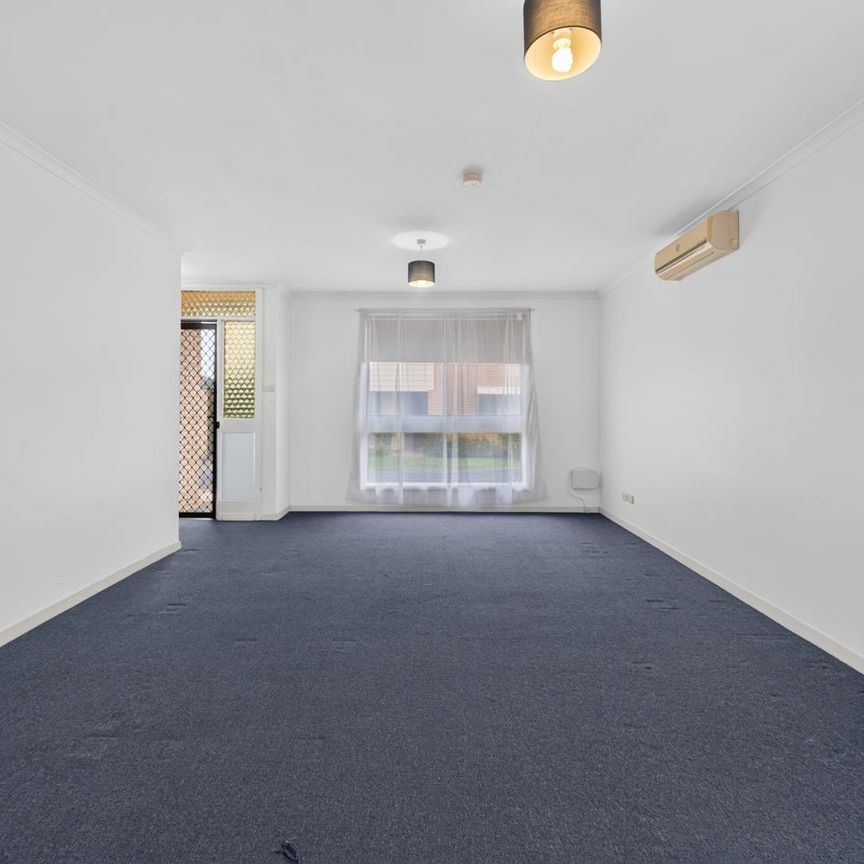 Sunny love nest walking distance to amenities and beach - Photo 1