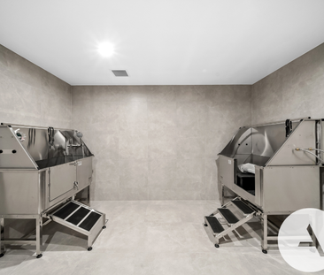 203/70 Allara Street, City ACT 2601 - Apartment For Rent | Domain - Photo 5