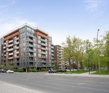 3300 Av. Troie, #212 - Photo 4