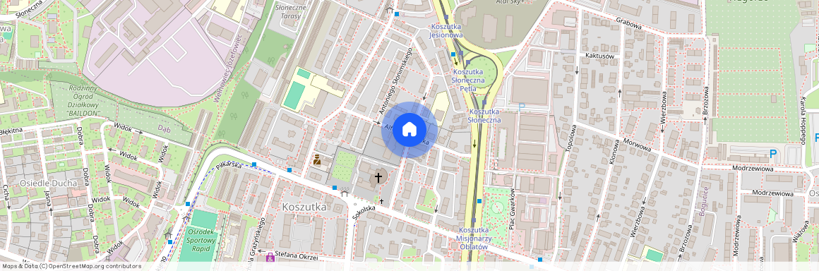 Koszutka, ul. ks. kard. Stefana Wyszyńskiego, Katowice