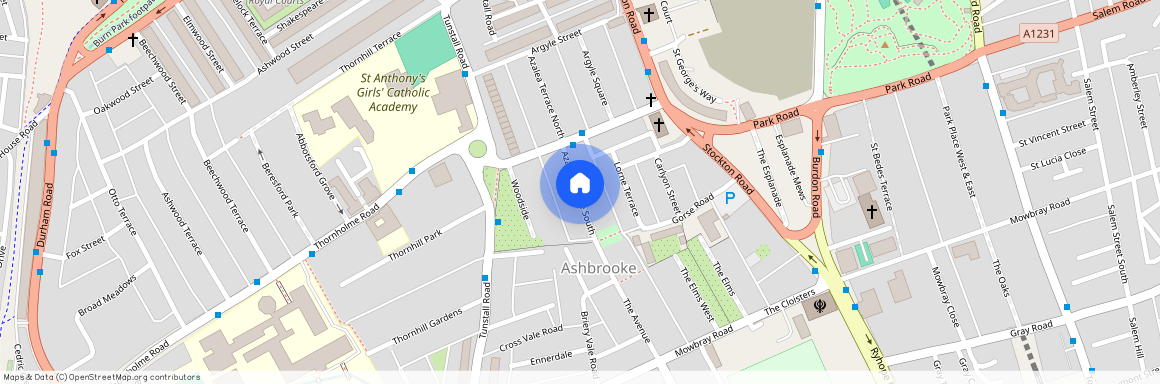 Azalea Terrace South, Sunderland, SR2