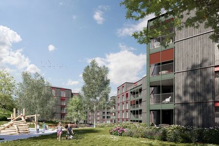 First rental Ambra in Uster - Photo 5