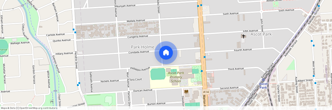 21a Condada Avenue, SA 5043, Park Holme