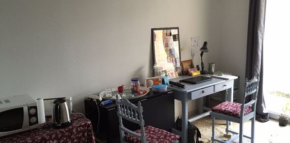 Location Appartement 1 pièce 17m² RENNES 35000 - Photo 2