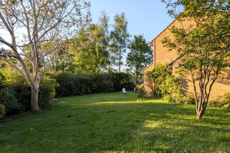 Raglan Road, Woking, Surrey, GU21 - Photo 4
