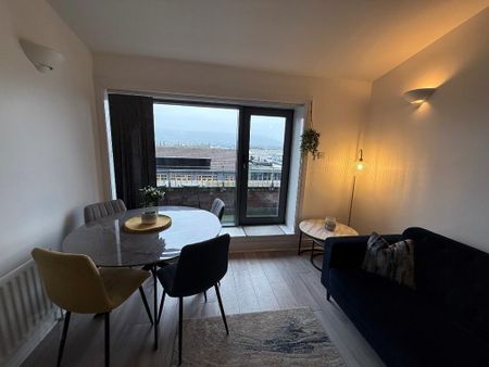 Apt 13, Lesley Plaza, Lisburn Road, Belfast, BT9 6JN - Photo 4