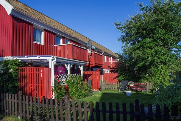 Skinnarev 55 - Photo 1