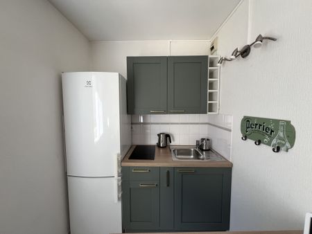 Location Appartement 1 pièce 29m² REIMS 51100 - Photo 5