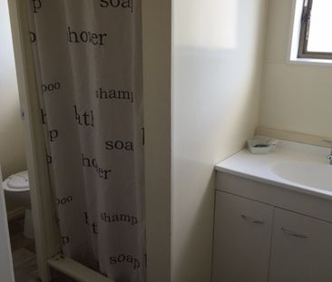 Belmont Living - Photo 6