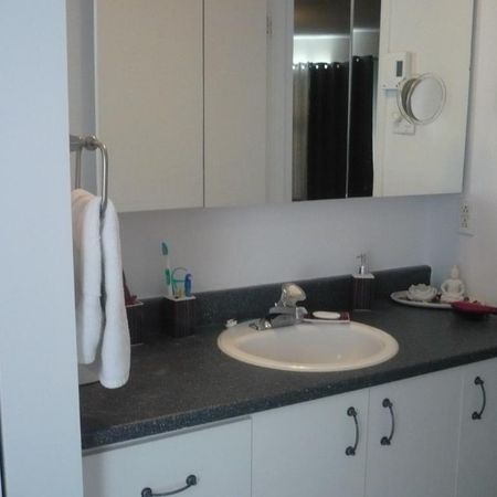 Grand 4½ Rue de Lery style condo Disponible Immediatement - Photo 4