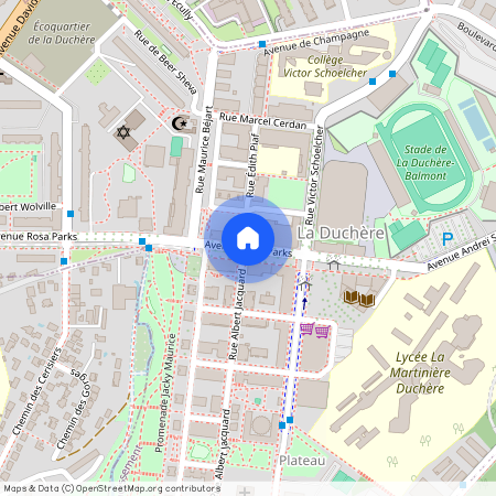 Avenue Rosa Parks, Francja, Lyon