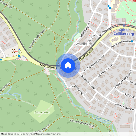 8125, Zollikerberg, Forchstrasse, 100