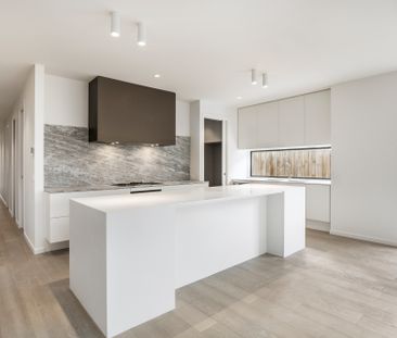 6B Vincent Street, Brighton East VIC 3187 - Townhouse For Rent | Do... - Photo 5