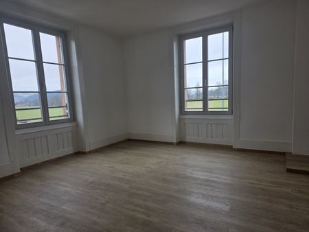 Attractive partly renovated apartment in Roggwil - Photo 3