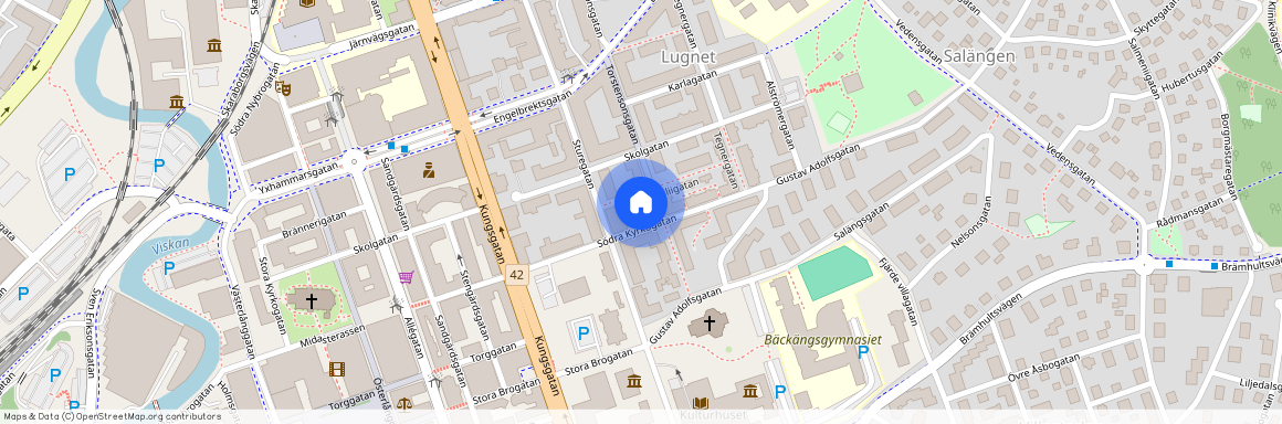 Berzeliigatan, Borås