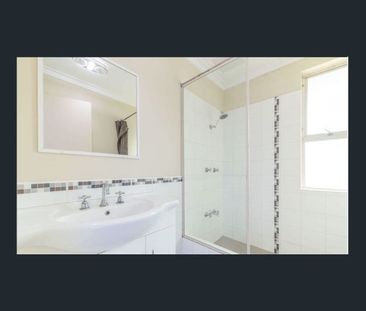 Neat as a Pin - 3x1x2 with Pool - Photo 4