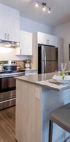 Superbe Appartements à Louer 3 1/2 (1 chambre) dans Pointe-Claire! - Photo 1