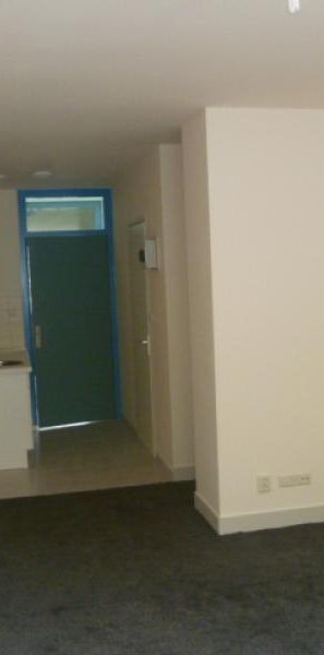 Te huur een leuke studio op een toplocatie aan de Wittevrouwensingel te Utrecht - Photo 1