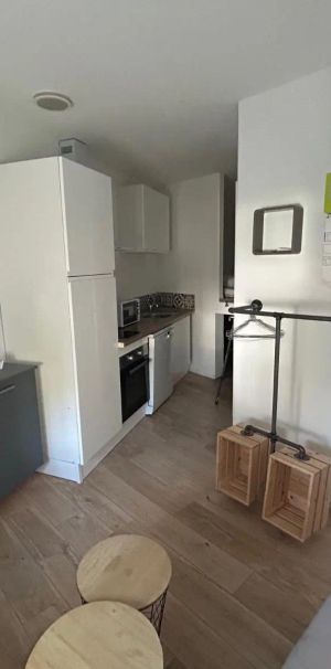 Appartement à louer 1 pièce 16.5m² - Photo 1