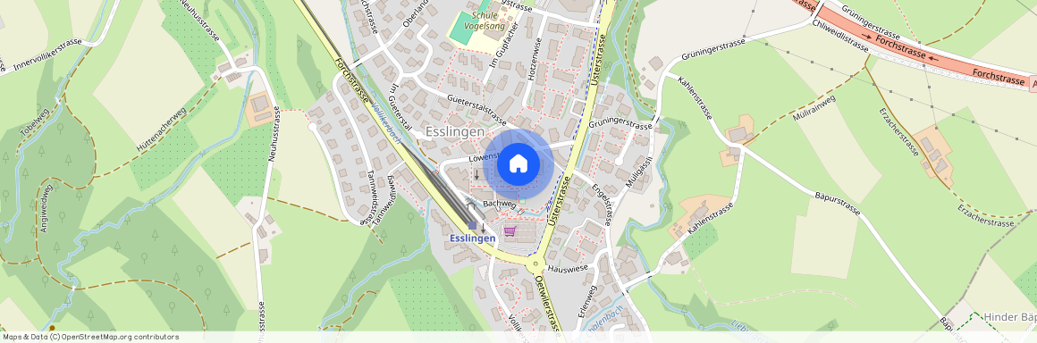 8133, Esslingen, Löwenstrasse, 9