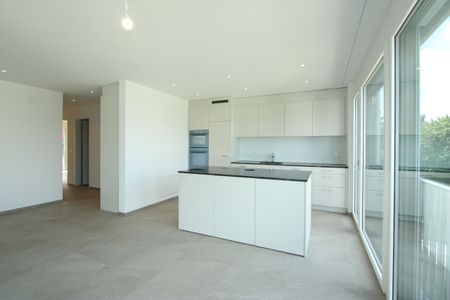 Luxuriöse 4.5-Zimmerwohnung mit Weitsicht - Photo 3