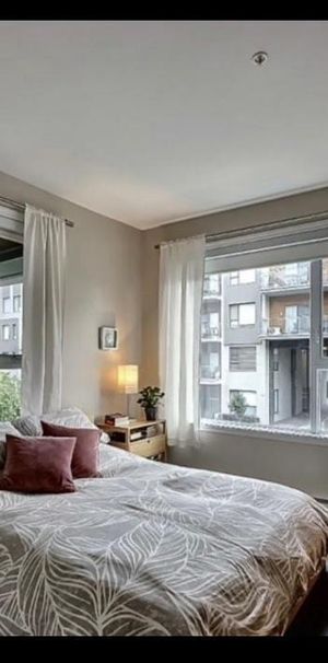 Condo à louer - Photo 1