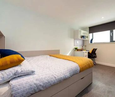 8 Bed Standard Ensuite - Photo 4